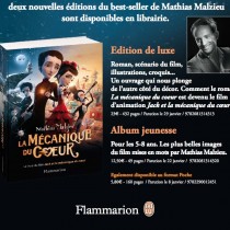 la_mecanique_du_coeur_librairie